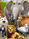 Игры Про животных
